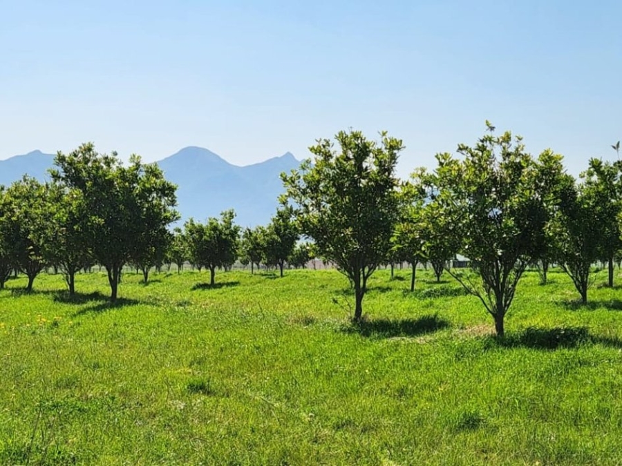 10 Bedroom Property for Sale in George Rural Western Cape